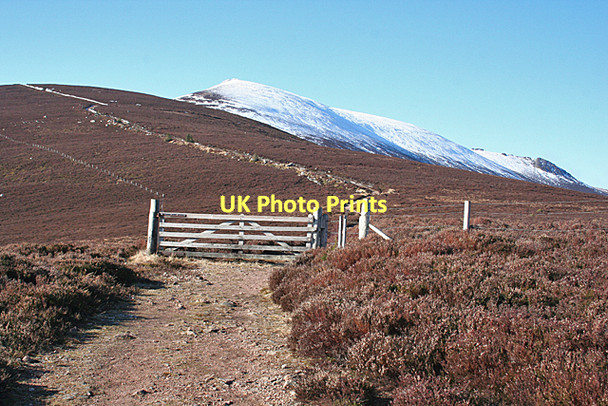 Photo 6"x4" Gate on Ben Rinnes Path Knowe\/NJ2835 c2011