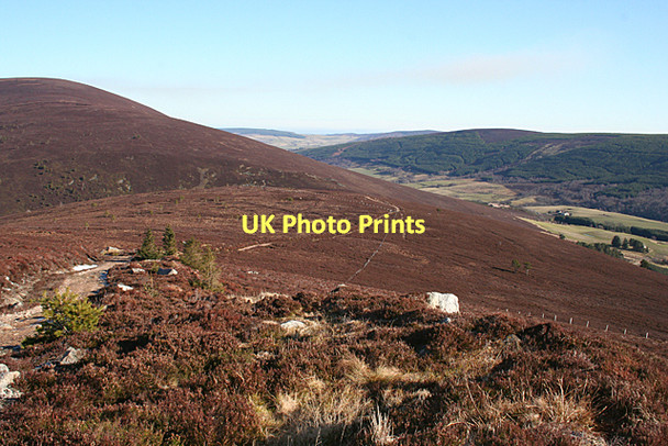 Photo 6"x4" Looking down Roy's Hill Benrinnes Wood c2011