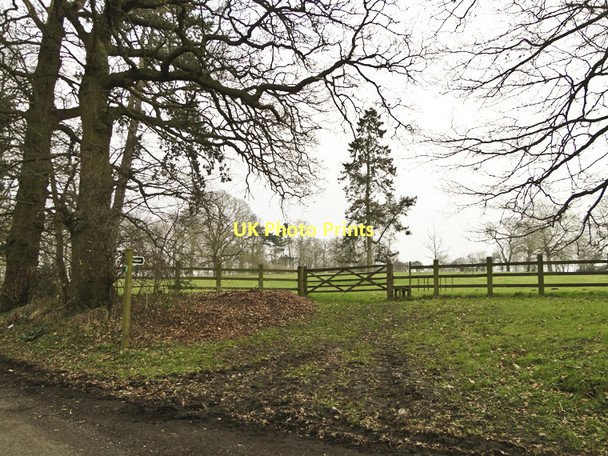 Photo 6"x4" Footpath over green pastures at Cransford Bruisyard c2011