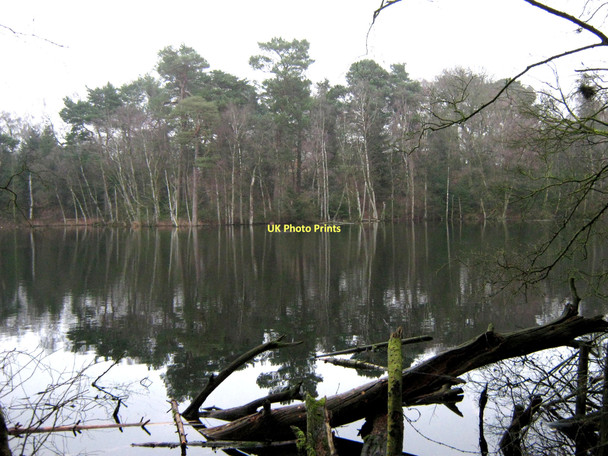 Photo 6"x4" Reflections in Dead Lake Hatchmere c2011