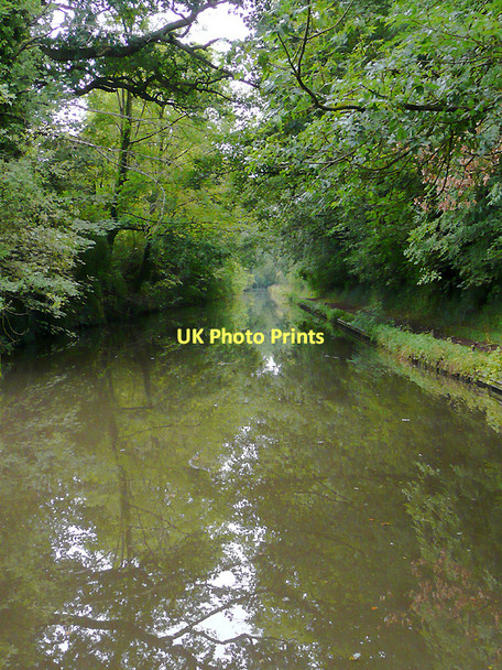 Photo 6"x4" Worcester and Birmingham Canal south-west of Hopwood Hopwood\/SP0274 c2010