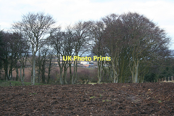 Photo 6"x4" Hill of Boyndie Banff\/NJ6864 c2011