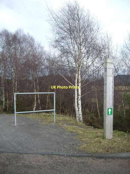Photo 6"x4" The Deeside Way Millfield\/NO4896 c2011