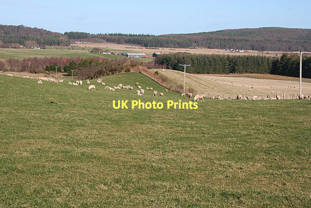 Photo 6"x4" Near Hillside of Mosstowie Torrieston c2011