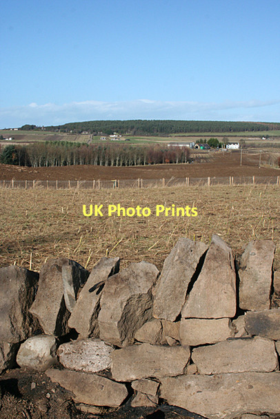 Photo 6"x4" New Alves from Garrowslack Alves c2011