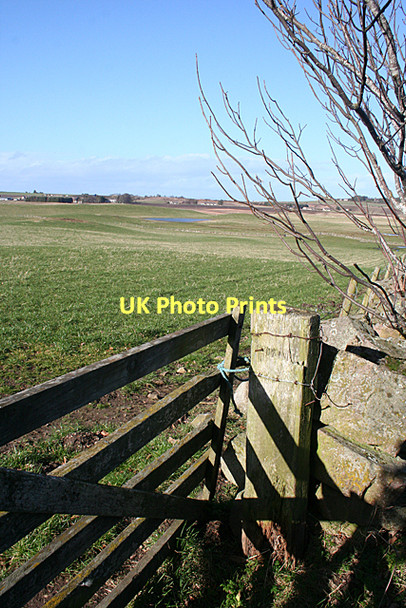 Photo 6"x4" Looking towards Cloves Alves c2011