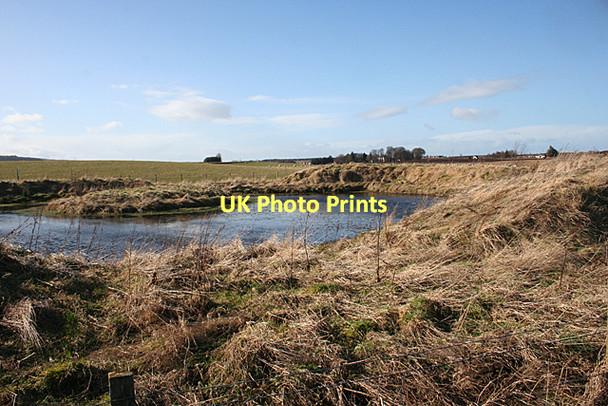 Photo 6"x4" New Pond Alves c2011