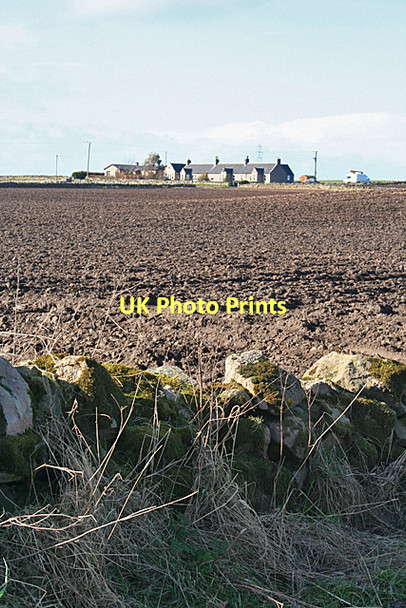 Photo 6"x4" Cottages near Cloves Alves c2011