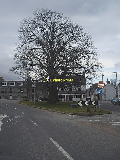 Photo 6"x4" Traffic island with trees Ballater c2011