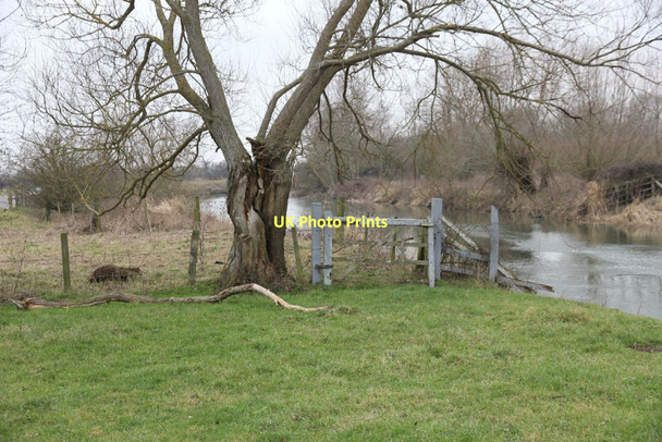 Photo 6"x4" Gate in the fence Clanfield\/SP2801 c2011