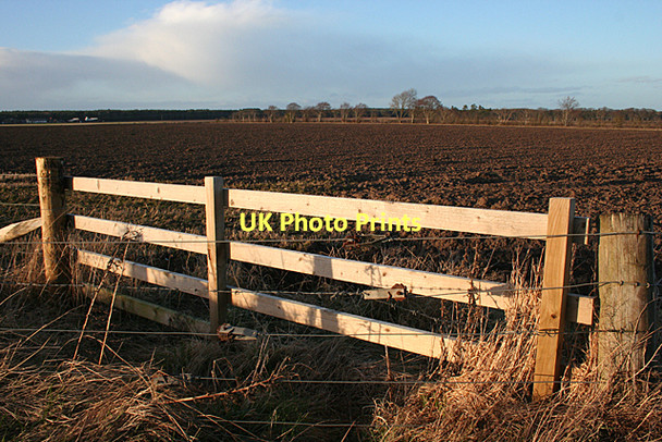 Photo 6"x4" Near Craigfield Kintessack c2011