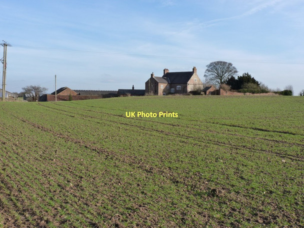 Photo 6"x4" Castle Farm Coneythorpe c2011