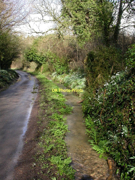 Photo 6"x4" Compton Valence, stream Compton Valence c2011
