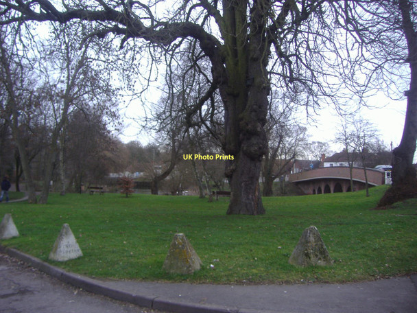 Photo 6"x4" Green by the River Colne, London Colney Broad Colney c2009