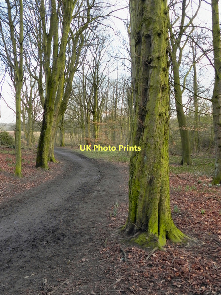 Photo 6"x4" Worsley Woods Worsley\/SD7401 c2011
