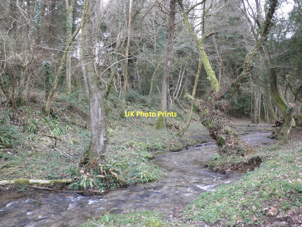 Photo 6"x4" Stream, near Comberow Leighland Chapel c2011