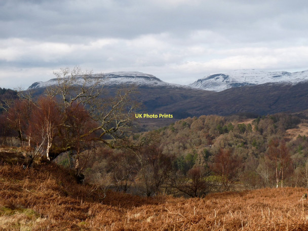 Photo 6"x4" The view across Ardtornish woods Lochaline \/ Loch \u00c0lainn c2011