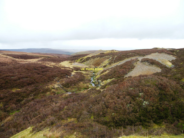 Photo 6"x4" Little Punchard Gill Whaw c2011