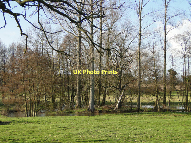 Photo 6"x4" The River Alde meandering through the trees Benhall Street c2011