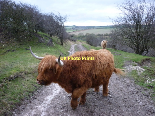 Photo 6"x4" Downhill to Thixendale Thixendale c2011