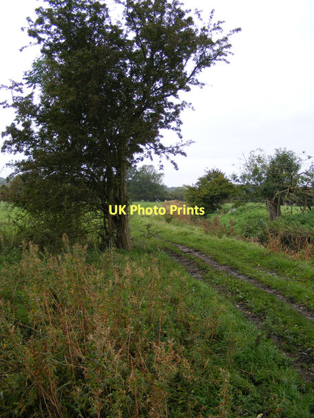 Photo 6"x4" End of the farm track on the marshes near Earsham Bungay c2010