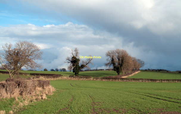 Photo 6"x4" Hedges as field boundaries east of B6275 Newton Morrell\/NZ2309 c2011