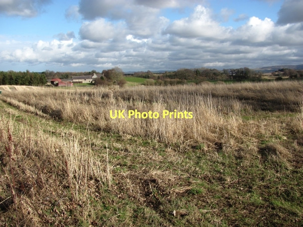 Photo 6"x4" Game crop, Costerton Mains Fala\/NT4361 c2011