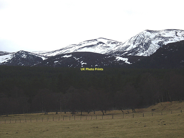 Photo 6"x4" View towards Lochnagar Thistledae c2011