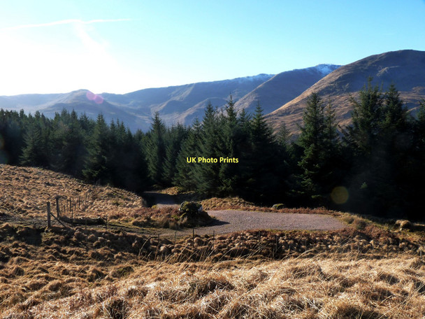 Photo 6"x4" Top edge of forest in Coire Ghardail Kingairloch \/ Ceann Ghe\u00e0rr-Loch c2011