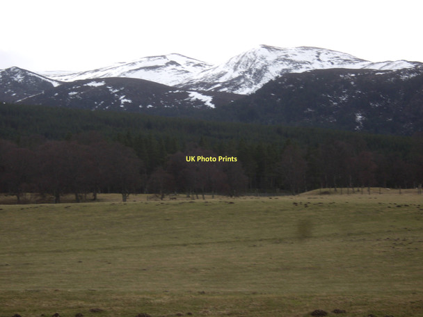 Photo 6"x4" View of Lochnagar Thistledae c2011