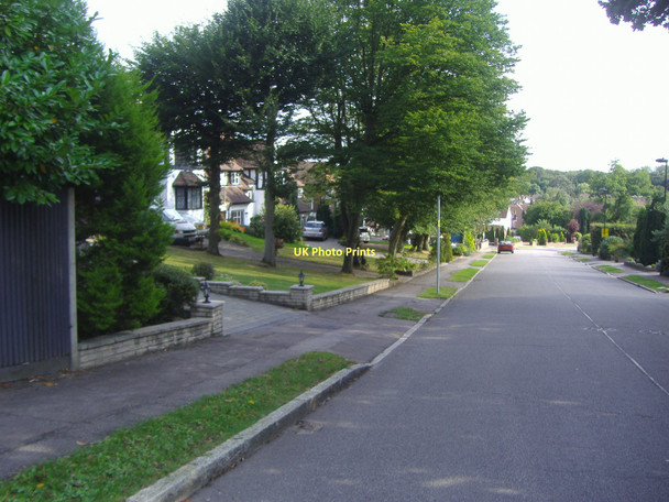 Photo 6"x4" Parkgate Avenue, Hadley Wood Barnet c2008