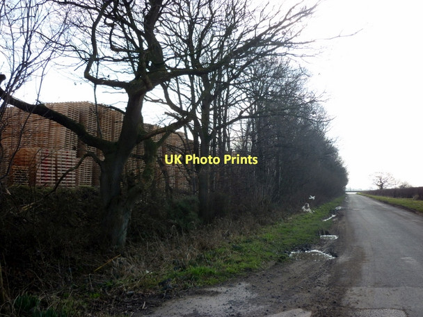 Photo 6"x4" Kidd Lane at Great West Wood Melbourne\/SE7544 c2011