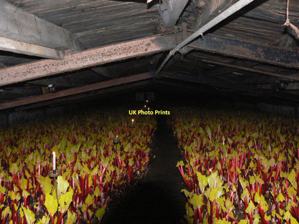 Photo 6"x4" Rhubarb forcing shed at Carlton Rothwell\/SE3428 c2011