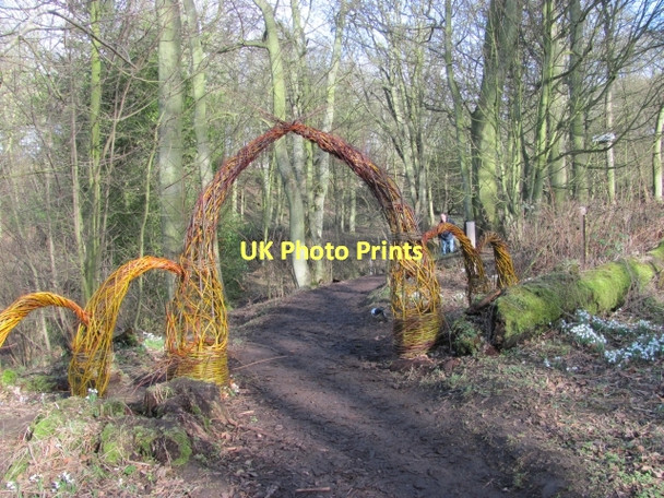 Photo 6"x4" Arch, Cambo Kingsbarns c2011