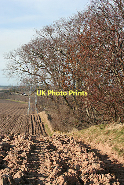 Photo 6"x4" Field Boundary with Pylon Alves c2011