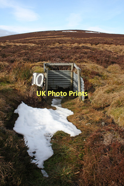Photo 6"x4" Grouse butt on Round Hill Cabrach\/NJ3827 c2011
