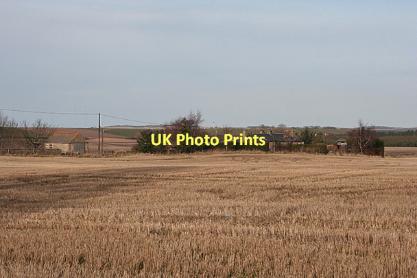 Photo 6"x4" Earnside Farm Coltfield c2011