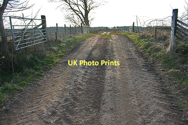 Photo 6"x4" Level Crossing Alves c2011