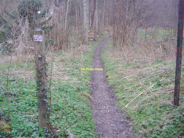 Photo 6"x4" Public footpath, Honeysuckle Bottom East Horsley c2009