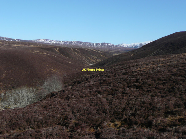 Photo 6"x4" Looking up the gorge of the Allt a' Chireachain Carn a' Chullaich c2011