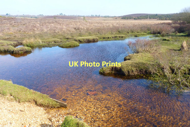 Photo 6"x4" Tributary of Avon Water Bisterne Close c2011