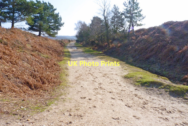 Photo 6"x4" The Old Railway Line at Greenberry Bridge Bisterne Close c2011