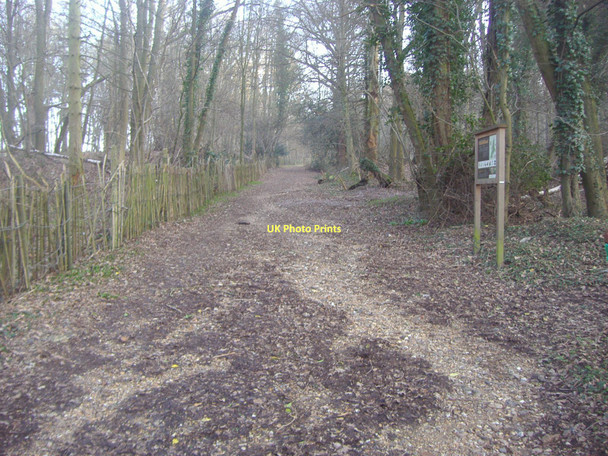 Photo 6"x4" Path through Home Wood, Cuffley Newgate Street c2011