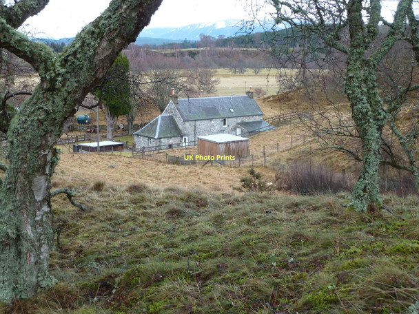 Photo 6"x4" Invertromie Farm Lynchat c2011