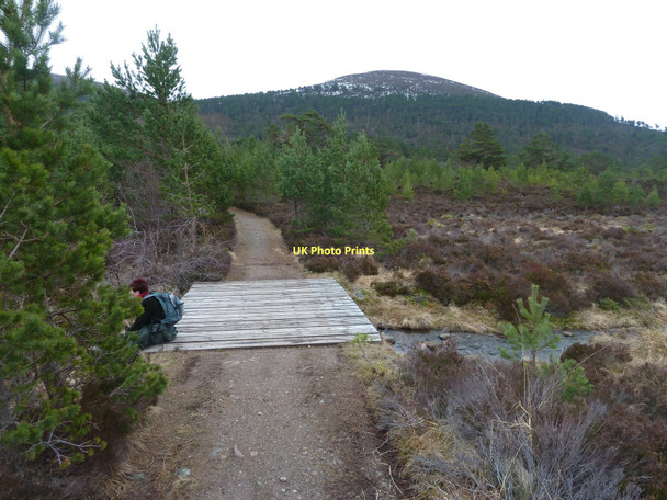 Photo 6"x4" Bridge over Allt Coire Follais Feshiebridge c2011