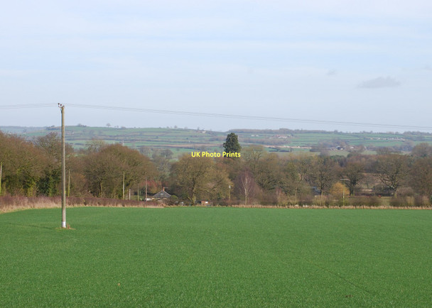 Photo 6"x4" Walton from Walton Hurst Walton\/SJ8527 c2011
