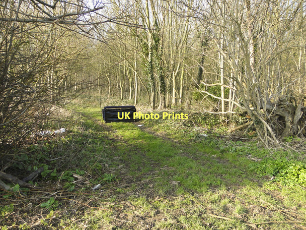 Photo 6"x4" Flytipped sofa just off the B1078 at Campsey Ashe Campsea Ashe c2011