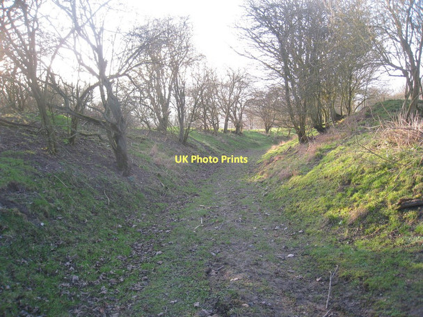 Photo 6"x4" Holloway near Horkstow Horkstow c2011
