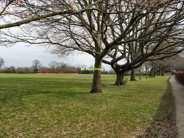 Photo 6"x4" Trees in West Green Park Crawley\/TQ2736 c2011