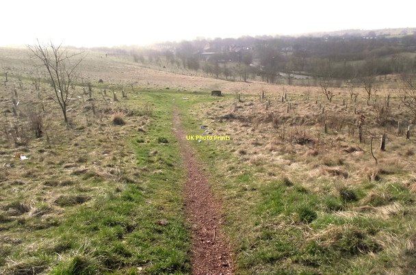 Photo 6"x4" Across the meadow Lane Ends\/SJ8754 c2011